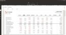Oracle Fusion Cloud ERP's balance sheet consolidation, broken down by country