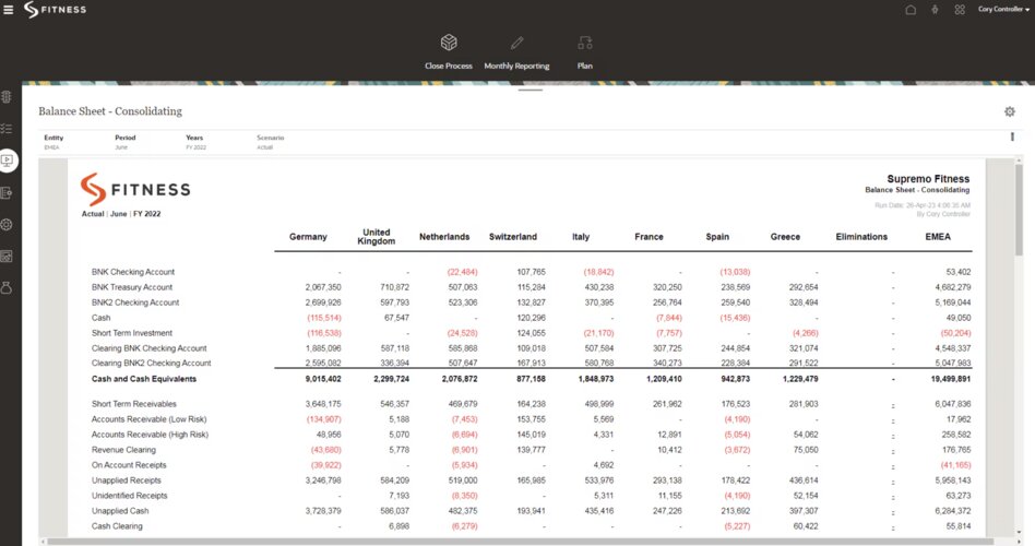 Oracle Fusion Cloud ERP's balance sheet consolidation, broken down by country